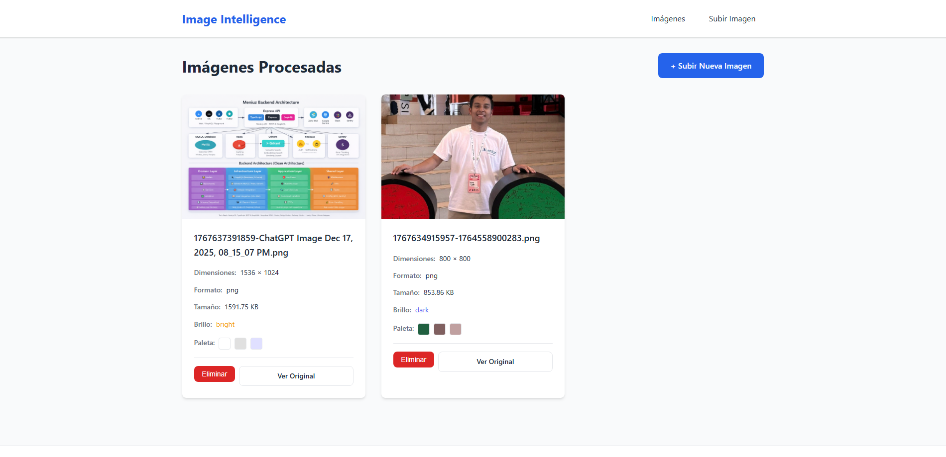 Image Intelligence Platform - Imagen 1